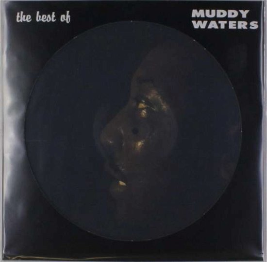Cover for Muddy Waters · The Best of Muddy Waters (LP) [Picture Disc edition] (2016)