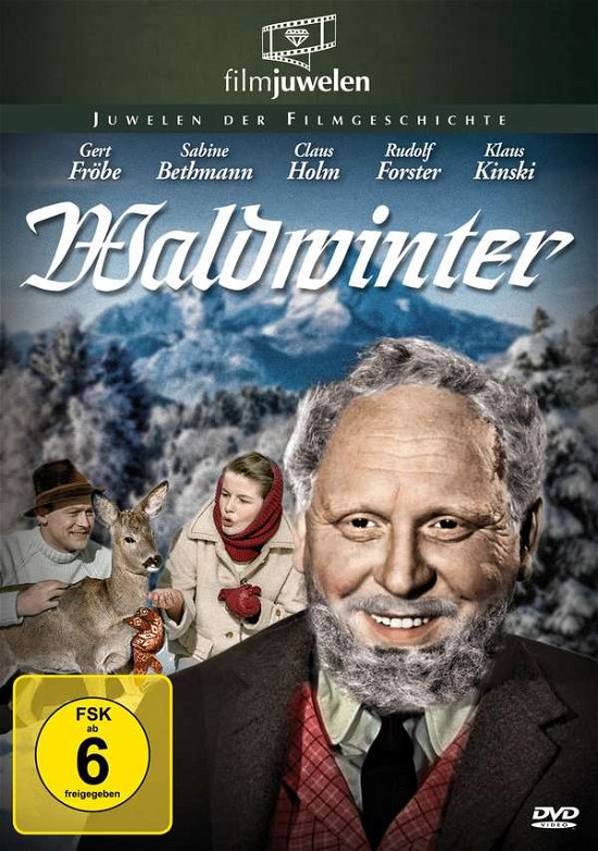 Cover for Wolfgang Liebeneiner · Waldwinter (Filmjuwelen) (DVD) (2019)