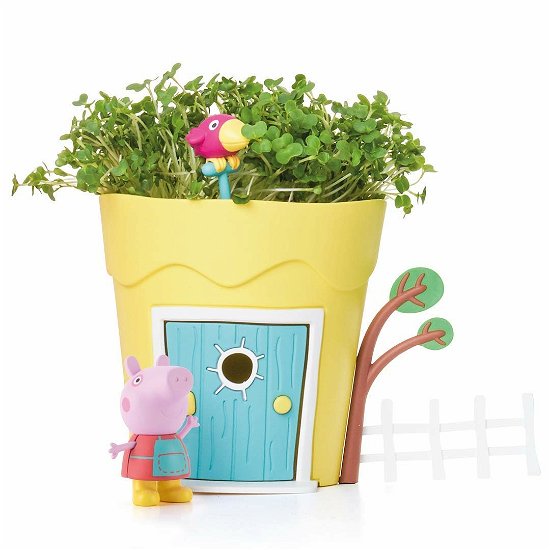 Cover for Unk · Peppa Pig Grow  Play Peppa Pots  Peppa (MISC)