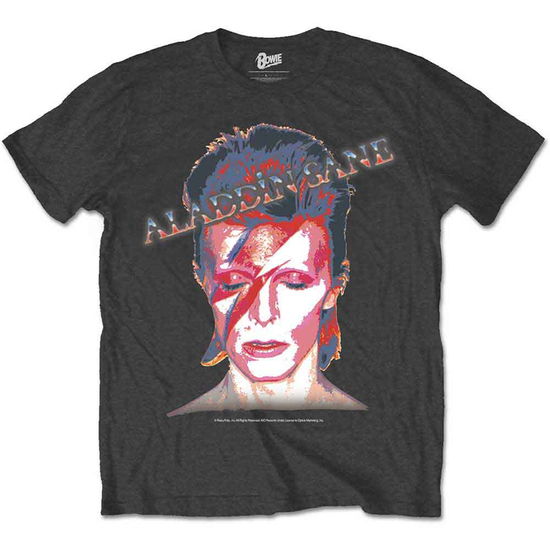 David Bowie Unisex T-Shirt: Aladdin Sane - David Bowie - Marchandise - Bravado - 5055979971016 - 