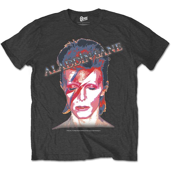 Cover for David Bowie · David Bowie Unisex T-Shirt: Aladdin Sane (T-shirt) [size S] [Grey - Unisex edition]