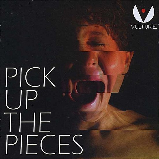 Cover for Vulture · Pick Up the Pieces (CD) (2008)