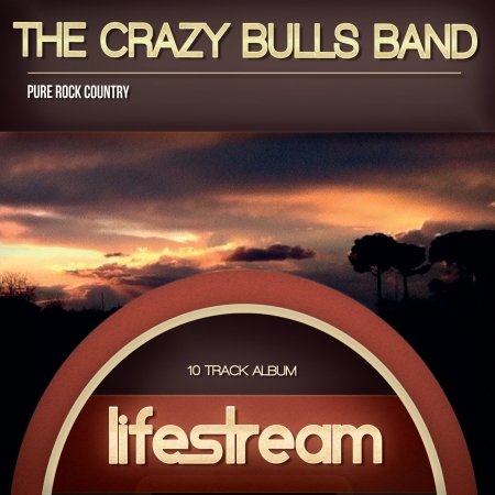 Cover for Crazy Bulls Band · Andlifestream (CD) (2020)