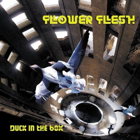 Cover for Flower Flesh · Duck in the Box (CD) (2012)