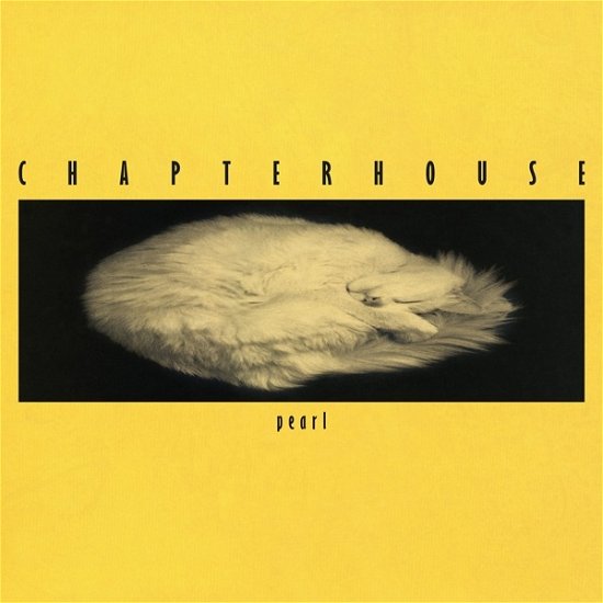 Cover for Chapterhouse · Pearl (LP) [Coloured, High quality edition] (2022)