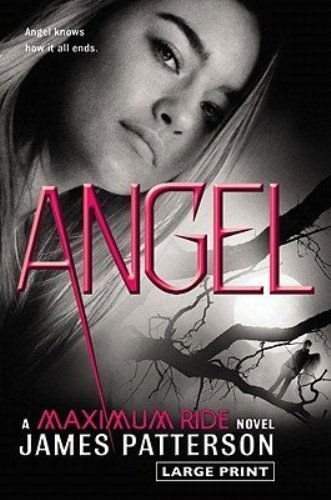 Angel: a Maximum Ride Novel - James Patterson - Books - Little, Brown and Company - 9780316122016 - February 14, 2011