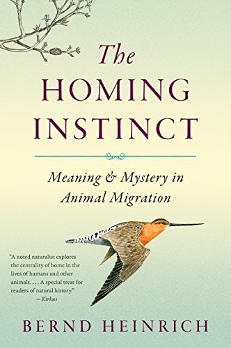 The Homing Instinct: Meaning and Mystery in Animal Migration - Heinrich Bernd Heinrich - Libros - HMH Books - 9780544484016 - 21 de abril de 2015