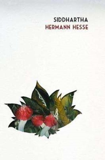 Cover for Hermann Hesse · Siddhartha (Hardcover Book) [Special edition] (2017)