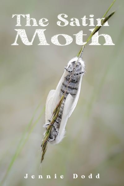 Cover for Jennie Dodd · The Satin Moth (Paperback Bog) (2023)