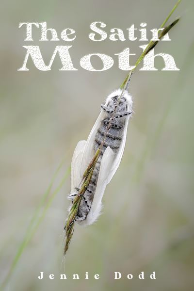 Cover for Jennie Dodd · The Satin Moth (Paperback Book) (2023)