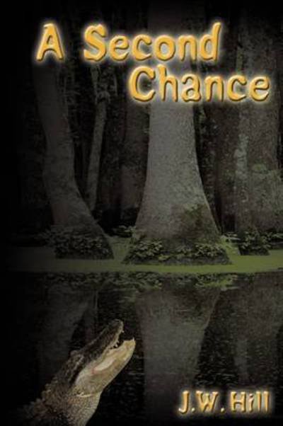 Cover for Hill J W Hill · A Second Chance (Paperback Book) (2009)
