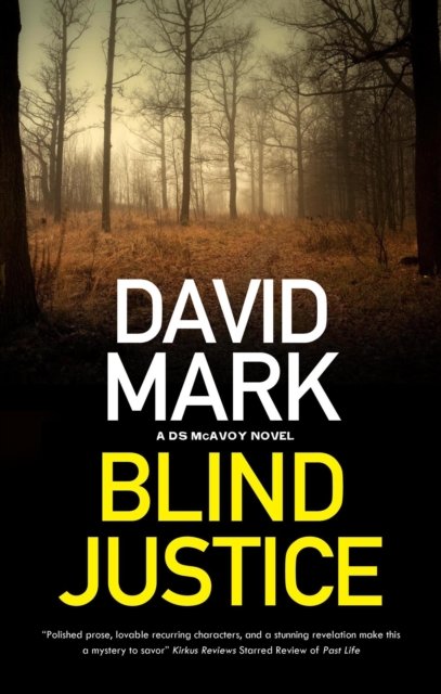 Cover for David Mark · Blind Justice - A DS McAvoy novel (Paperback Bog) [Main edition] (2023)