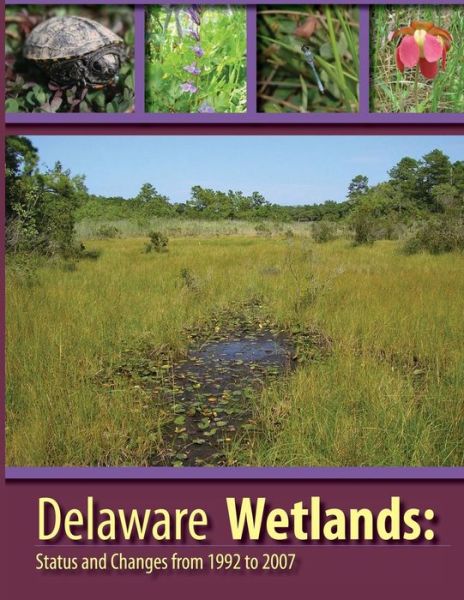 Cover for U S Fish &amp; Wildlife Service · Deleware Wetlands: Status and Changes from 1992 to 2007 (Paperback Book) (2015)