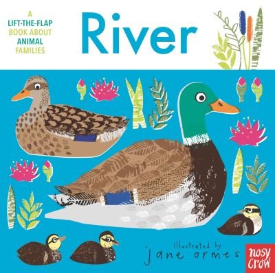 Cover for Nosy Crow · Animal Families: River (Board book) (2022)