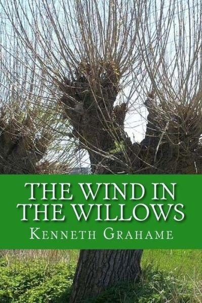 The Wind in the Willows - Kenneth Grahame - Books - Createspace Independent Publishing Platf - 9781543167016 - February 17, 2017