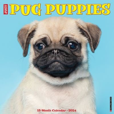 Just Pug Puppies 2024 12 X 12 Wall Calendar - Willow Creek Press - Produtos - Willow Creek Press - 9781549235016 - 30 de julho de 2023