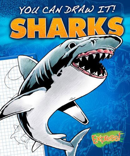 Cover for Maggie Rosier · Sharks - You Can Draw It! (Hardcover Book) (2019)