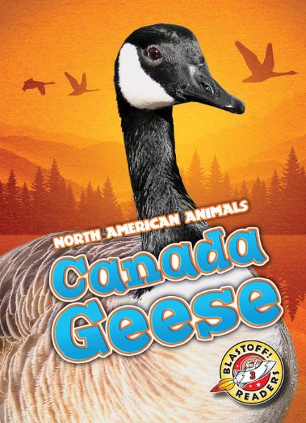 Cover for Megan Borgert-Spaniol · Canada Geese (Hardcover Book) (2016)