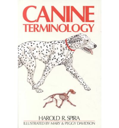 Canine Terminology - H R Spira - Books - FIRST STONE - 9781929242016 - August 1, 2010