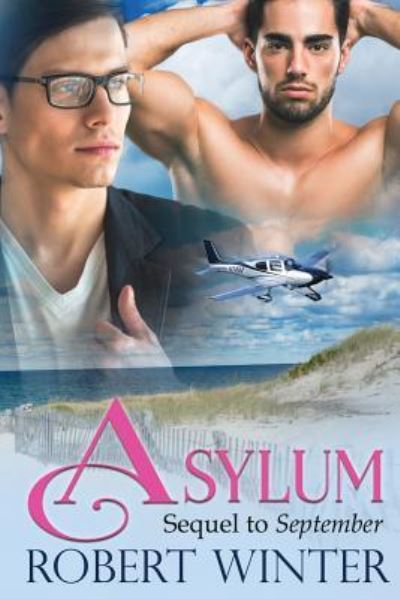 Asylum - Robert Winter - Książki - Robert Winter Books - 9781948883016 - 16 marca 2018