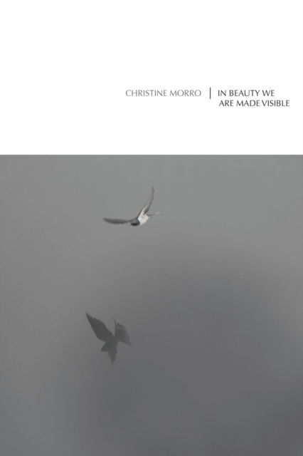 Cover for Christine Morro · In Beauty We Are Made Visible (Book) (2022)