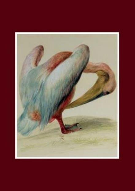 Cover for Aubriet-c · Carnet Blanc, Pelican (Paperback Bog) (2016)