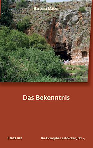 Cover for Barbara Mäder · Das Bekenntnis (Paperback Book) (2017)