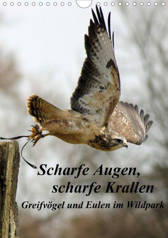 Scharfe Krallen, scharfe Augen, - Bönner - Books -  - 9783671958016 - 