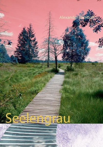 Cover for Barriball · Seelengrau (Book) (2019)