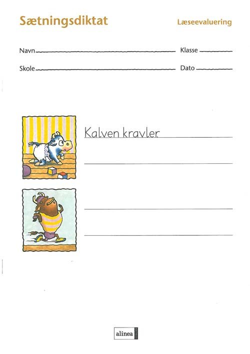 Cover for Dorthe Klint Petersen Ina Borstrøm · Læseevaluering: Læseevaluering, Sætningsdiktat á 10 stk. (Taschenbuch) [1. Ausgabe] (2004)