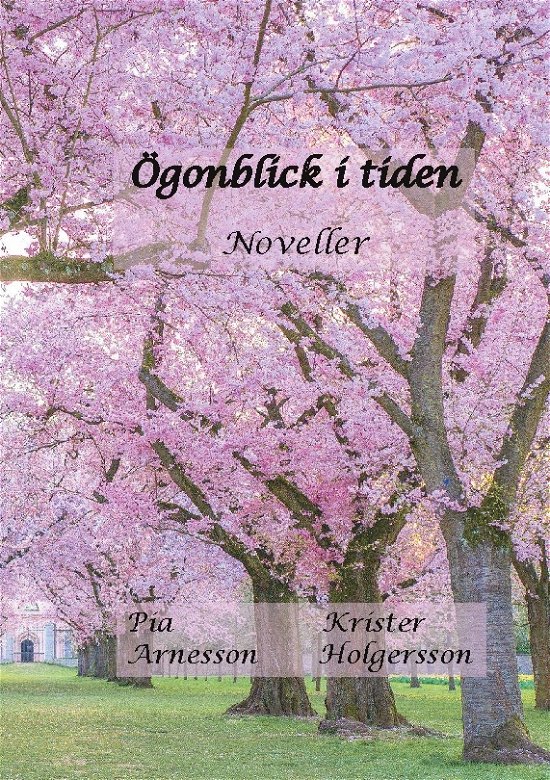 Cover for Pia Arnesson · Ögonblick i tiden : Noveller (Book) (2023)
