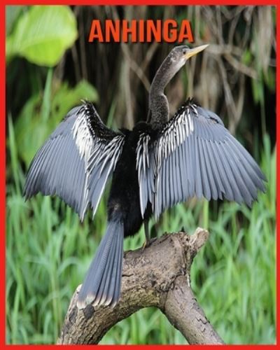 Cover for Alicia Moore · Anhinga (Paperback Book) (2021)