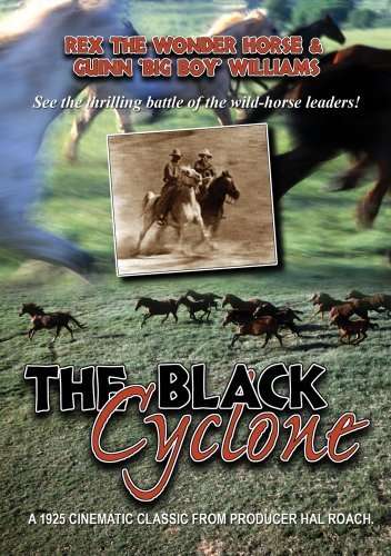 Cover for Black Cyclone (DVD) [Remastered edition] (2009)