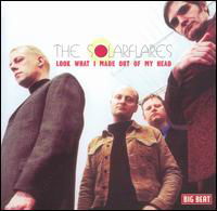 Cover for The Solarflares · Look What I Made out of My Hea (LP) (2002)