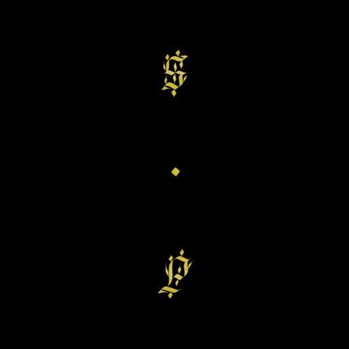 Cover for Shabazz Palaces · Black Up (LP) [Standard edition] (2011)