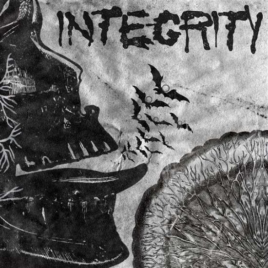 Cover for Integrity · Suicide Black Snake (LP) [Coloured edition] (2013)