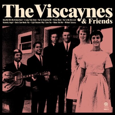 Cover for Viscaynes · Viscaynes &amp; Friends (CD) (2019)