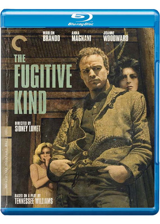 Cover for Criterion Collection · Fugitive Kind, the BD (Blu-ray) (2020)