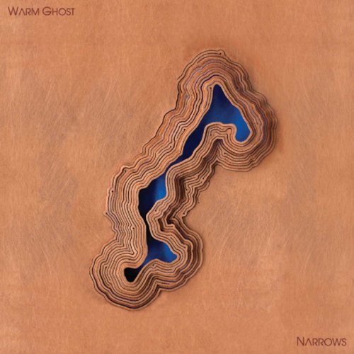 Cover for Warm Ghost · Narrows (LP) (2011)