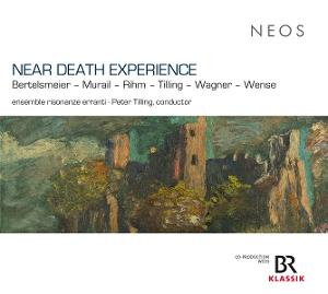 Cover for Ensemble Risonanze Erranti &amp; Peter Tilling · Near Death Experience (CD) (2025)