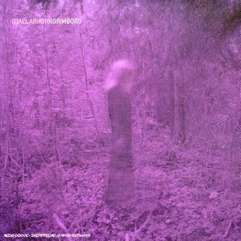 Cover for Gjallarhorn · Grimborg (CD) (2007)