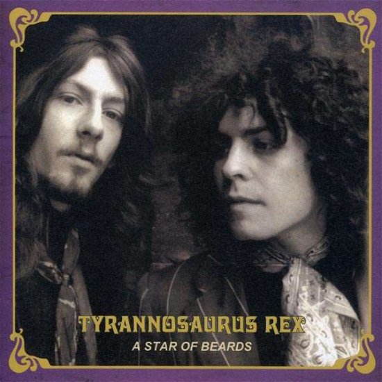 Cover for Tyrannosaurus Rex · A Star of Beards (LP) [High quality vinyl edition] (2008)
