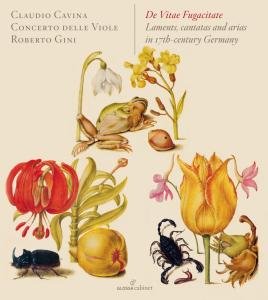 Cover for Cavina / Concerto Delle Viole · De Vitae Fugacitate - Laments (CD) (2009)