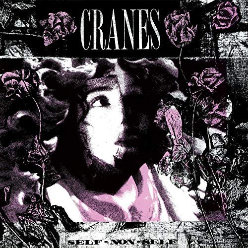 Cover for Cranes · Self-non-self (LP) [Coloured edition] (2019)
