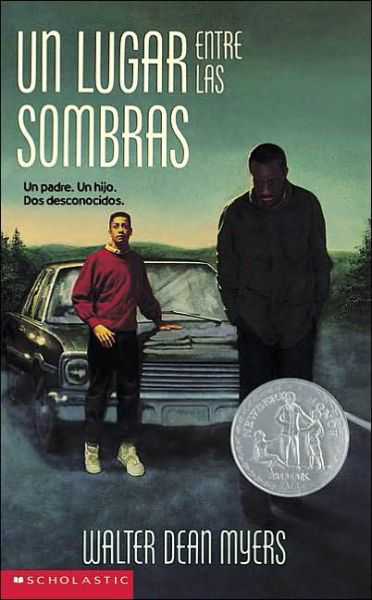 Somewhere In The Darkness - Walter Dean Myers - Books - Scholastic Press - 9780590477017 - 2003