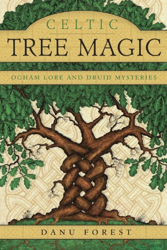 Cover for Danu Forest · Celtic Tree Magic: Ogham Lore and Druid Mysteries (Paperback Book) (2014)