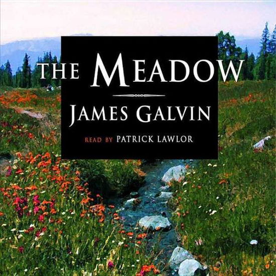 Cover for James Galvin · The Meadow: Library Edition (MP3-CD) [Mp3 edition] (2003)