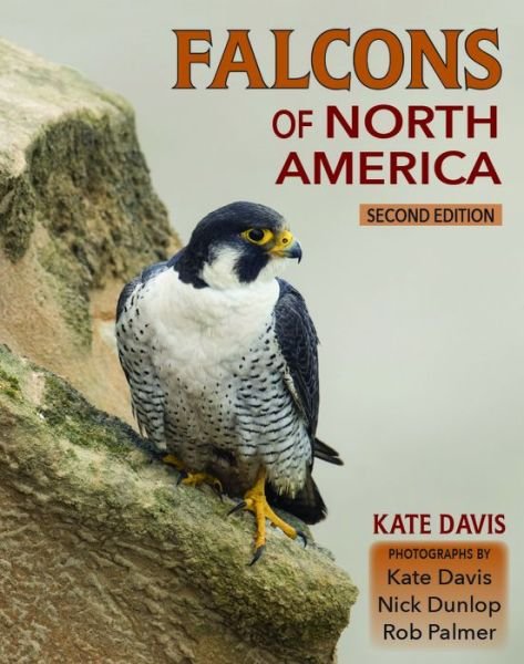 Cover for Kate Davis · Falcons of North America (Taschenbuch) (2021)