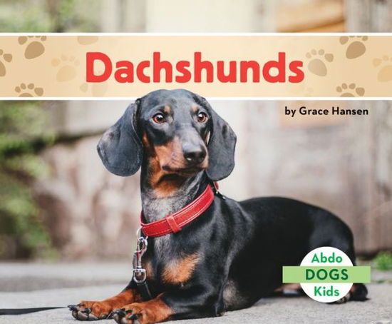 Cover for Grace Hansen · Dachshunds (Hardcover Book) (2021)