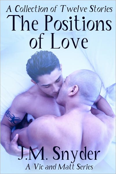 Cover for J. M. Snyder · The Positions of Love (Paperback Book) (2011)